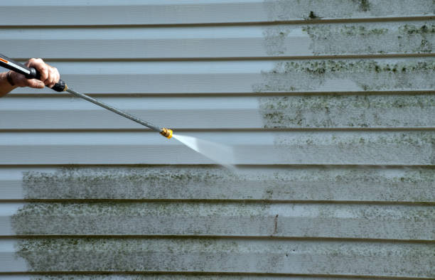 Best Solar Panel Cleaning  in Campbell, FL